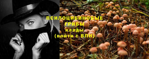 метадон Магас
