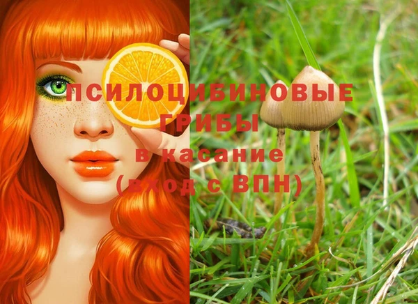 метадон Магас