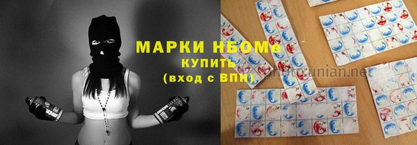крисы Майский