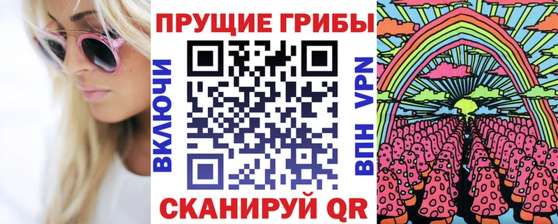 Псилоцибиновые грибы Psilocybe  что такое   Киров 