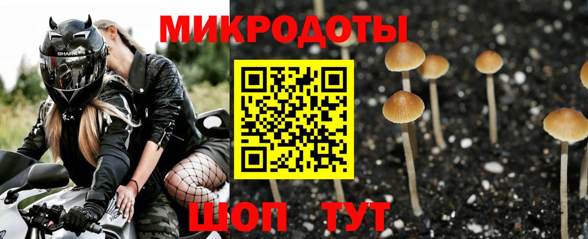 Киров  Галлюциногенные грибы GOLDEN TEACHER  Галлюциногенные грибы Psilocybe  Вход с VPN 